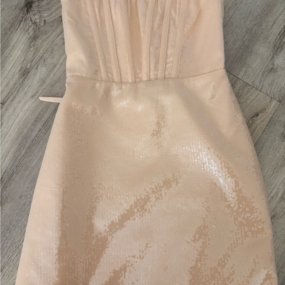 Altard State Sequin Corset Dress in Pale Pink